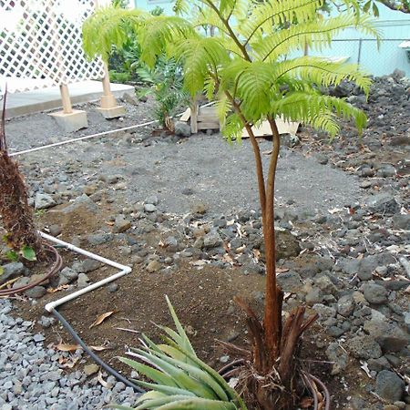 Ohana Hale Kailua-Kona Zewnętrze zdjęcie